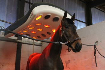 installation automatique d'attelage de remorque macon ga