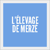 vignettes-martinot-elevage